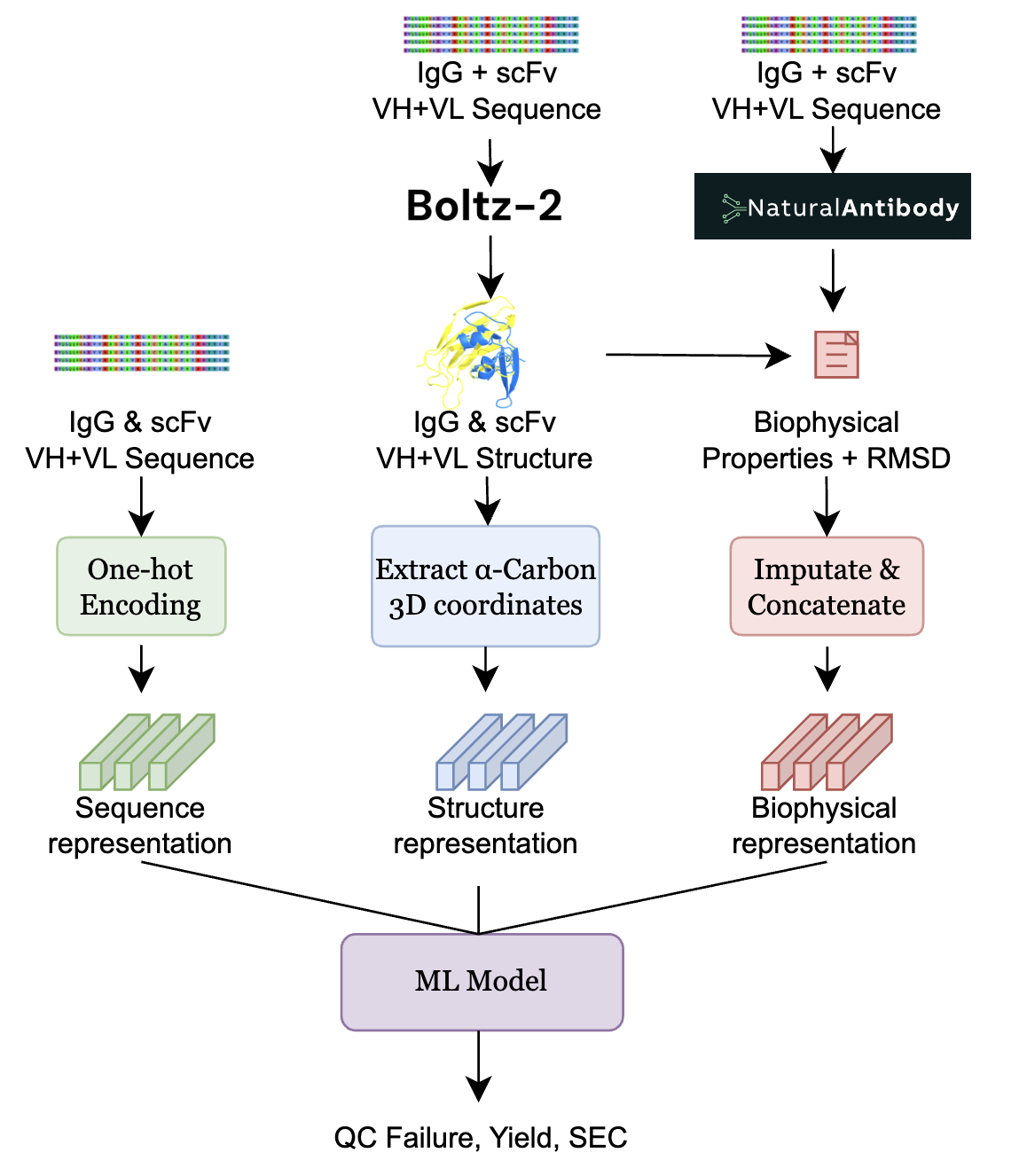 Antibody Reformatting thumbnail