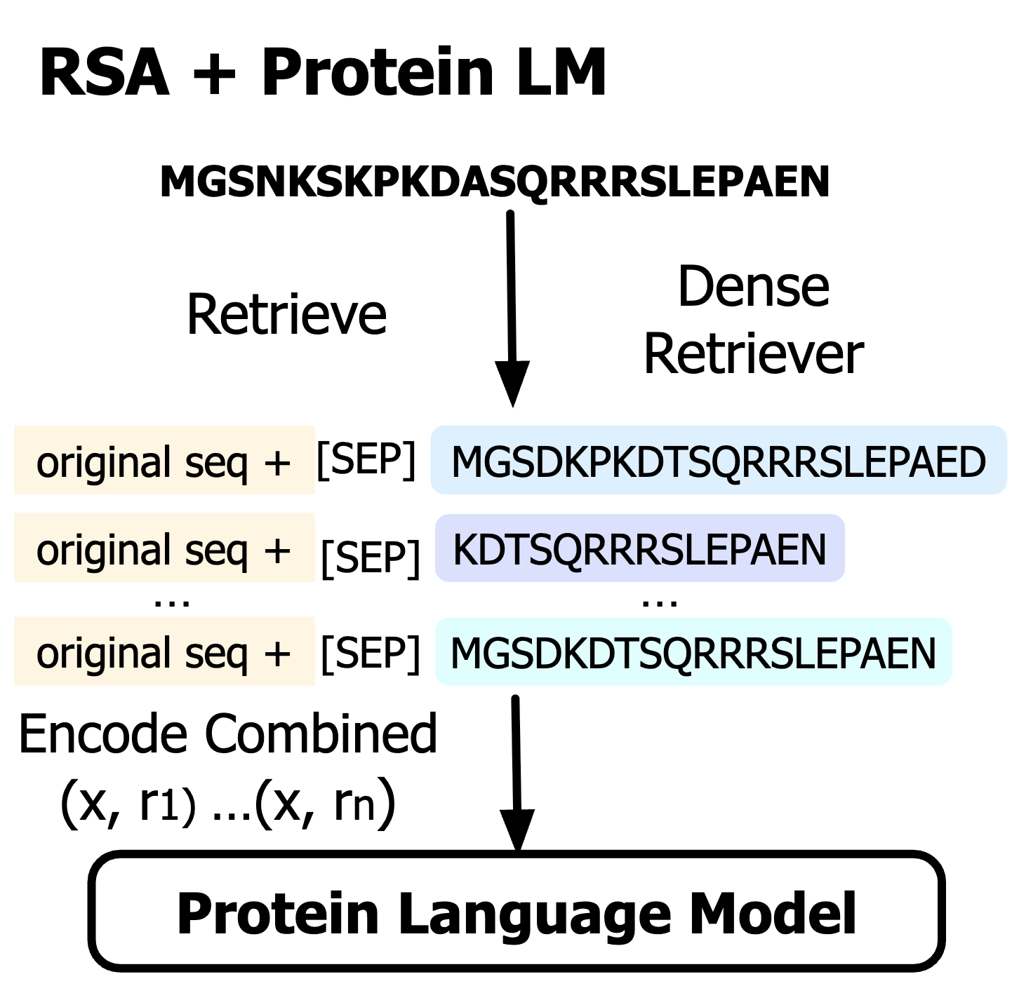 Protein RSA thumbnail