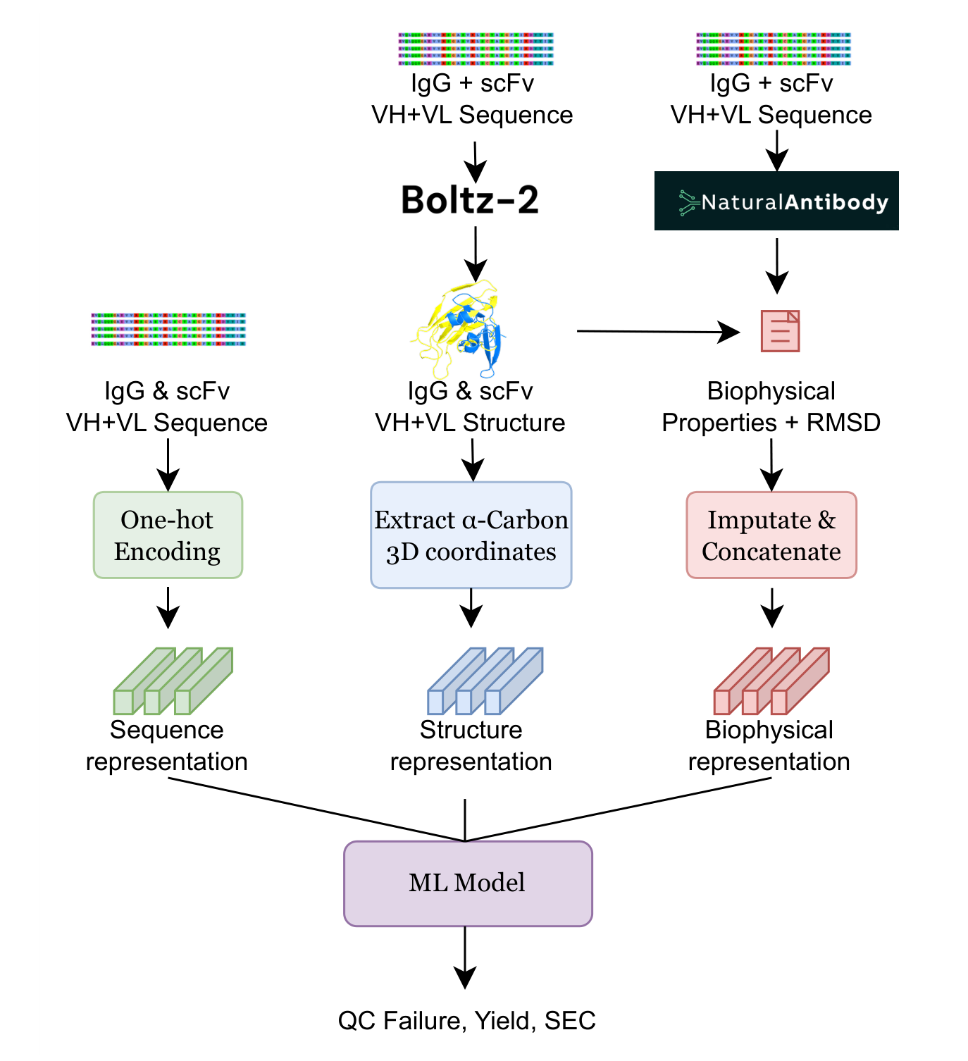 Sequence, predicted structural coordinates, and biophysical properties are combined to predict antibody reformatting outcomes.